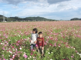 仲良くコスモスと記念写真