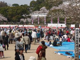 三の丸広場にひめか現る
