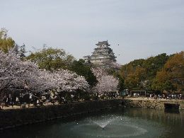 動物園から姫路城