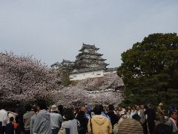 三の丸広場からの姫路城
